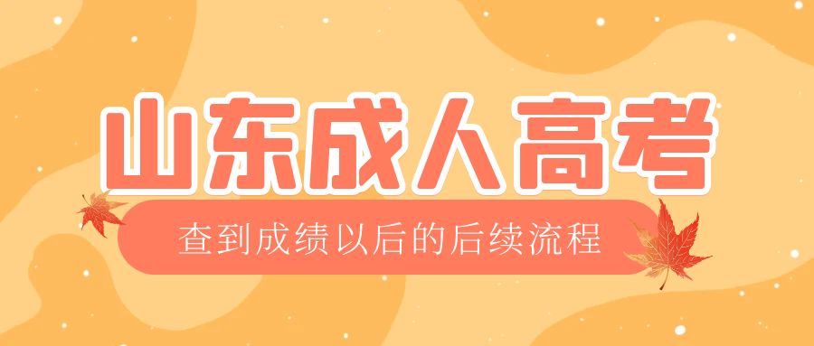 枣庄成考查完成绩以后做什么，枣庄成考网